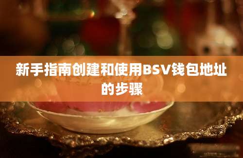 新手指南创建和使用BSV钱包地址的步骤