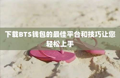 下载BTS钱包的最佳平台和技巧让您轻松上手