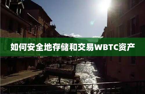 如何安全地存储和交易WBTC资产