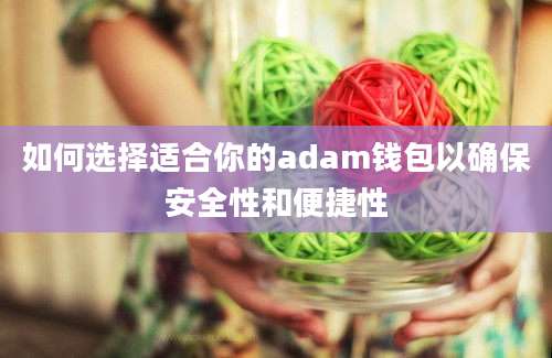 如何选择适合你的adam钱包以确保安全性和便捷性