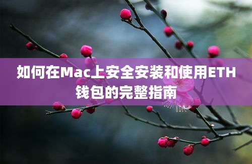 如何在Mac上安全安装和使用ETH钱包的完整指南