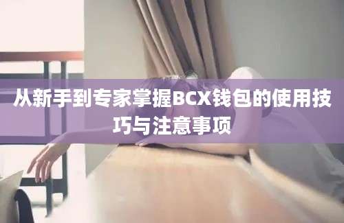 从新手到专家掌握BCX钱包的使用技巧与注意事项