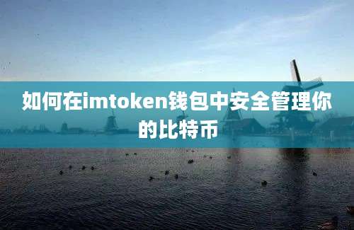 如何在imtoken钱包中安全管理你的比特币