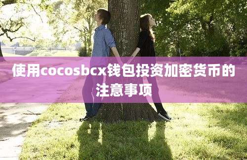 使用cocosbcx钱包投资加密货币的注意事项