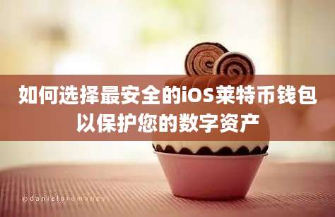 如何选择最安全的iOS莱特币钱包以保护您的数字资产