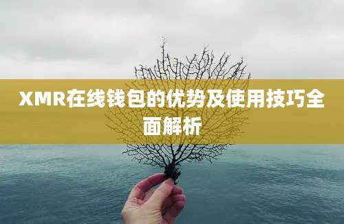 XMR在线钱包的优势及使用技巧全面解析