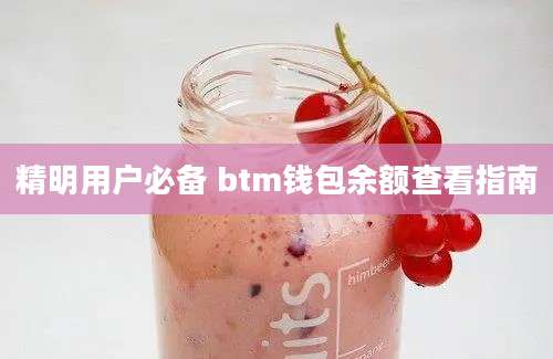 精明用户必备 btm钱包余额查看指南