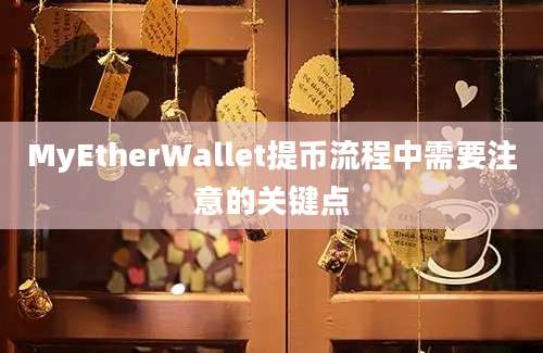 MyEtherWallet提币流程中需要注意的关键点