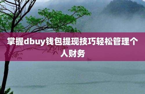 掌握dbuy钱包提现技巧轻松管理个人财务