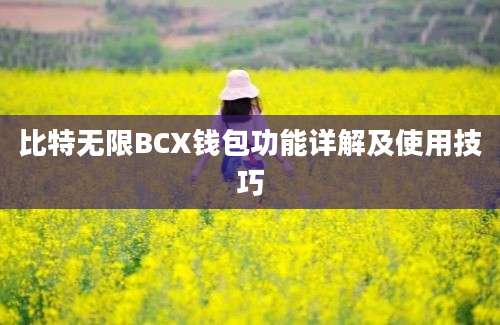 比特无限BCX钱包功能详解及使用技巧