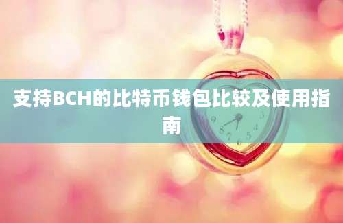 支持BCH的比特币钱包比较及使用指南