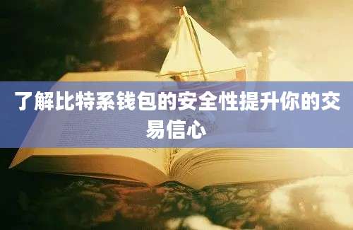 了解比特系钱包的安全性提升你的交易信心