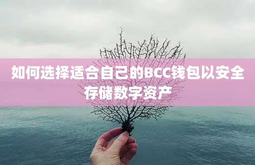 如何选择适合自己的BCC钱包以安全存储数字资产