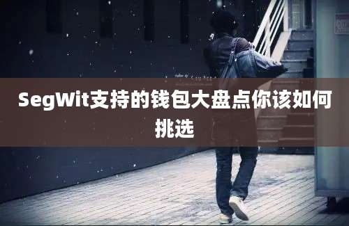 SegWit支持的钱包大盘点你该如何挑选