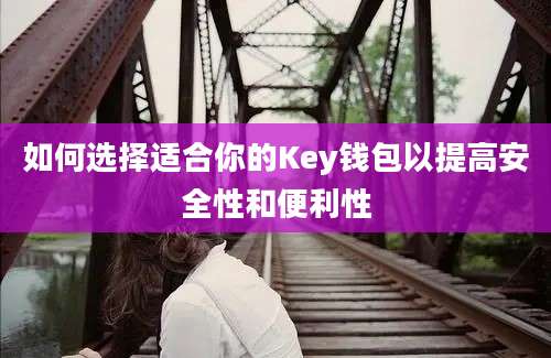 如何选择适合你的Key钱包以提高安全性和便利性