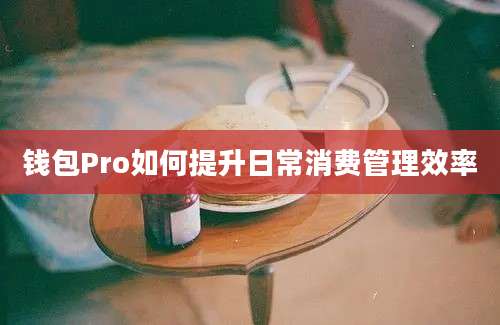 钱包Pro如何提升日常消费管理效率