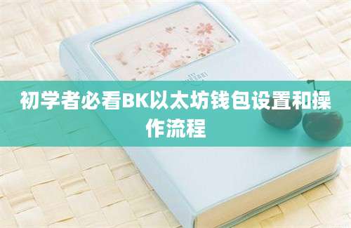 初学者必看BK以太坊钱包设置和操作流程