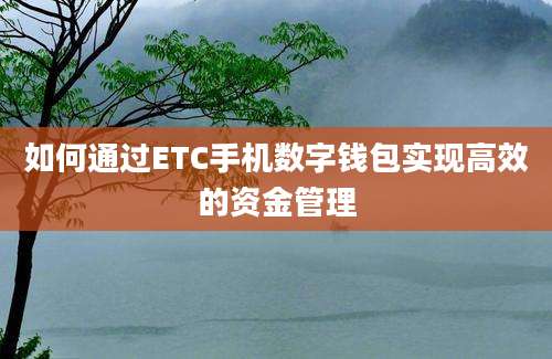 如何通过ETC手机数字钱包实现高效的资金管理