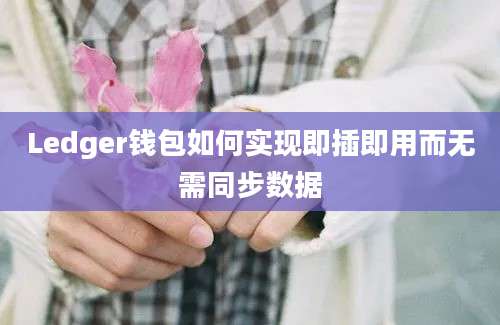 Ledger钱包如何实现即插即用而无需同步数据