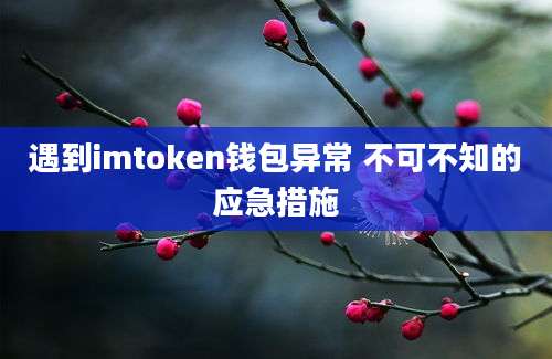 遇到imtoken钱包异常 不可不知的应急措施