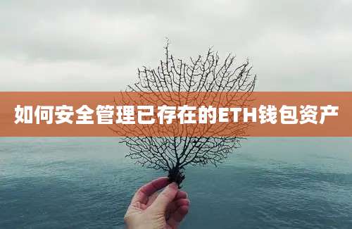 如何安全管理已存在的ETH钱包资产