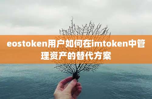 eostoken用户如何在imtoken中管理资产的替代方案