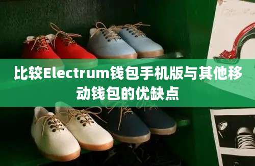 比较Electrum钱包手机版与其他移动钱包的优缺点