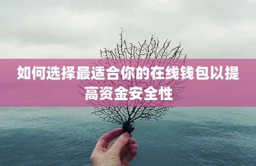 如何选择最适合你的在线钱包以提高资金安全性