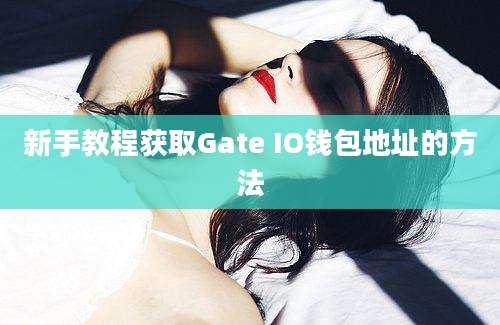 新手教程获取Gate IO钱包地址的方法