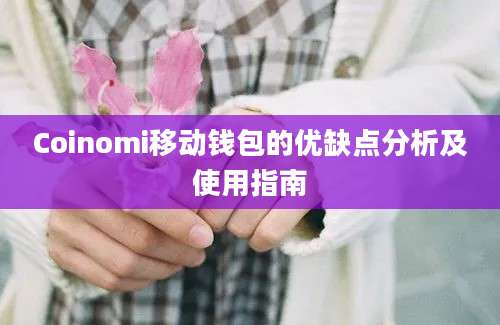 Coinomi移动钱包的优缺点分析及使用指南