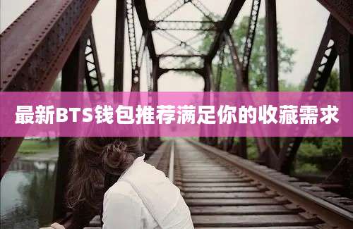 最新BTS钱包推荐满足你的收藏需求