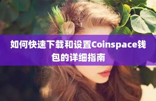 如何快速下载和设置Coinspace钱包的详细指南