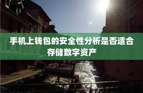 手机上钱包的安全性分析是否适合存储数字资产