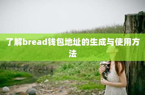 了解bread钱包地址的生成与使用方法