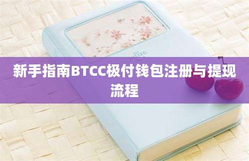 新手指南BTCC极付钱包注册与提现流程