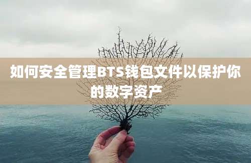 如何安全管理BTS钱包文件以保护你的数字资产