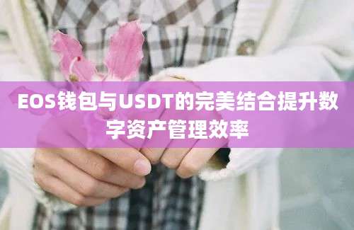 EOS钱包与USDT的完美结合提升数字资产管理效率