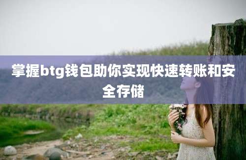 掌握btg钱包助你实现快速转账和安全存储