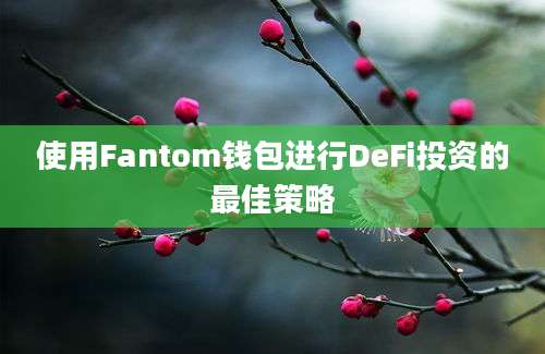 使用Fantom钱包进行DeFi投资的最佳策略