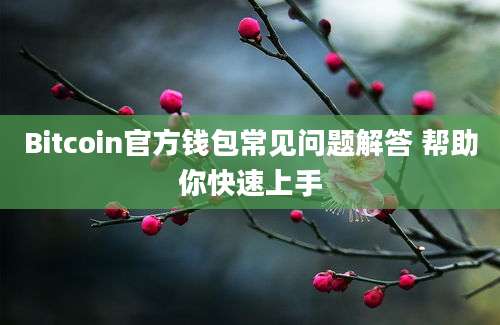 Bitcoin官方钱包常见问题解答 帮助你快速上手