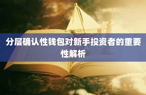 分层确认性钱包对新手投资者的重要性解析