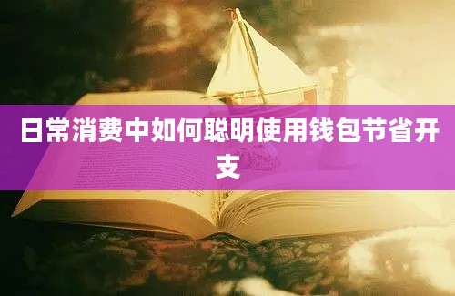 日常消费中如何聪明使用钱包节省开支