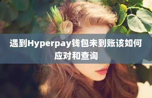 遇到Hyperpay钱包未到账该如何应对和查询