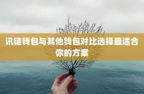 讯链钱包与其他钱包对比选择最适合你的方案