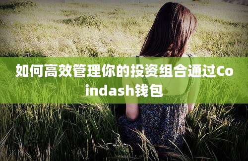 如何高效管理你的投资组合通过Coindash钱包