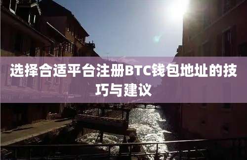 选择合适平台注册BTC钱包地址的技巧与建议