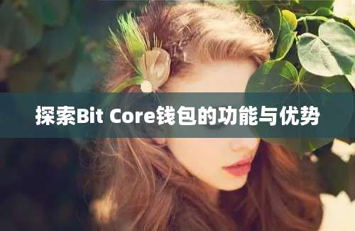 探索Bit Core钱包的功能与优势