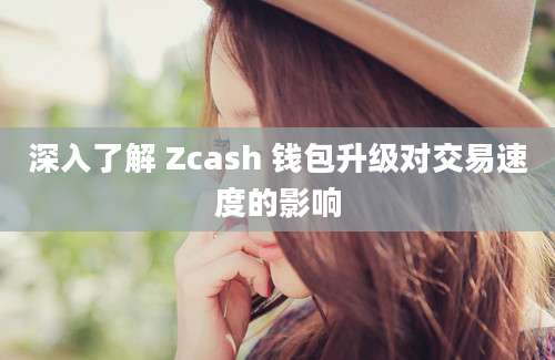 深入了解 Zcash 钱包升级对交易速度的影响