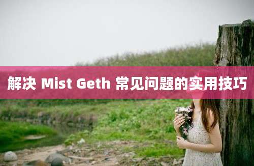 解决 Mist Geth 常见问题的实用技巧