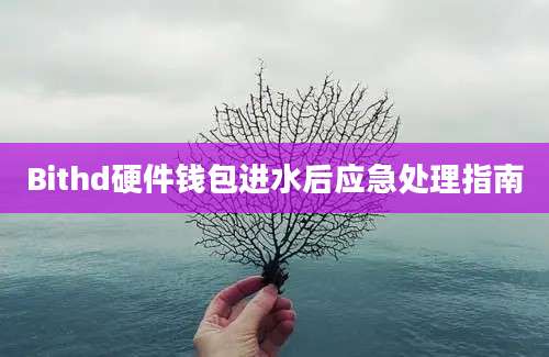 Bithd硬件钱包进水后应急处理指南